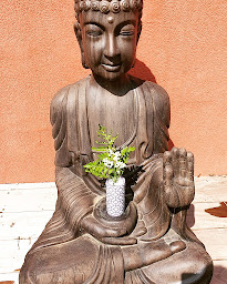 Photo n°2 de mon sur mesure à Fargues-Saint-Hilaire (Centre de yoga)