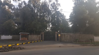 embassy