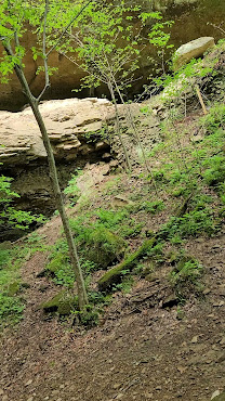 Hemlock Cliffs by null