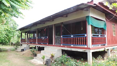 Photos of Jungle Bar & Guesthouse