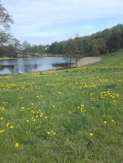 Photos of Alanta Manor