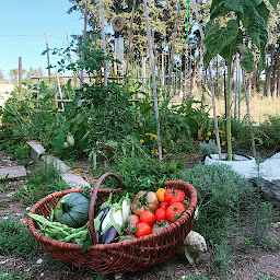 Photo n°5 de SCIASCIA Parcs & Jardins à L'Isle-sur-la-Sorgue (Paysagiste)