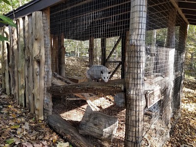 Woodlands Nature Station