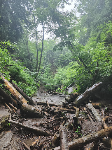 Eternal Flame Hiking Trailhead Parking - Thumbnail