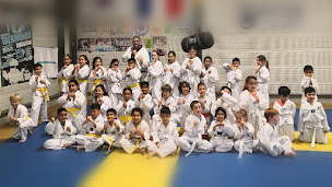 Photo n°1 de Taekwondo Isère à Bourgoin-Jallieu (Club d'arts martiaux)