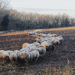 Photo n°2 de Bergerie de cussac à Saint-Germain-et-Mons (Résidence)