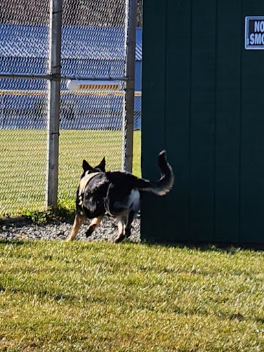Farmington Township Park