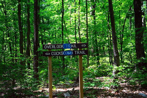 Money Rocks County Park - Thumbnail