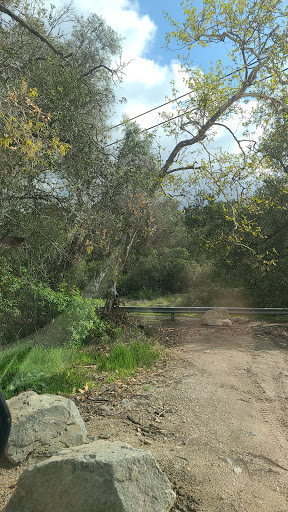 Trabuco Creek - Thumbnail