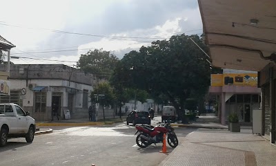 Photos of Museo Peleontologico Toropi