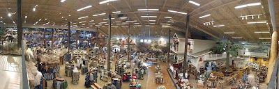 Photos of Bass Pro Shops