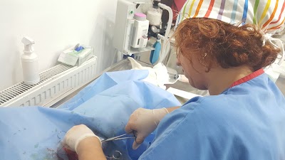 Photos of gen&ccedil;vet Veterinary Clinic