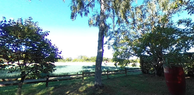 118 River Road, Appleby 7081, New Zealand