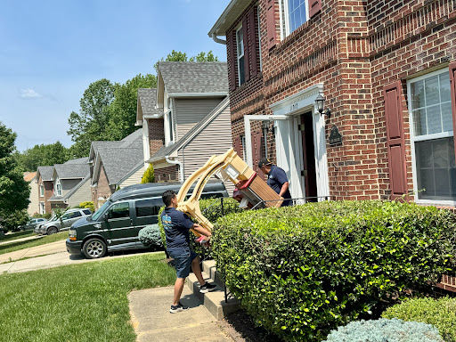 Noah’s Relocation Services - Visual