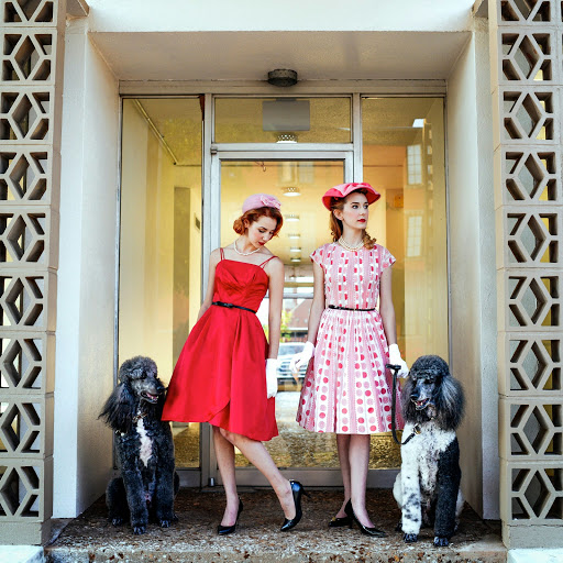 Midtown Vets, A Thrive Pet Healthcare Partner - Thumbnail