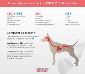 Photo n°4 de KÂNATURA Parapharmacie CBD à Chantonnay (Parapharmacie)