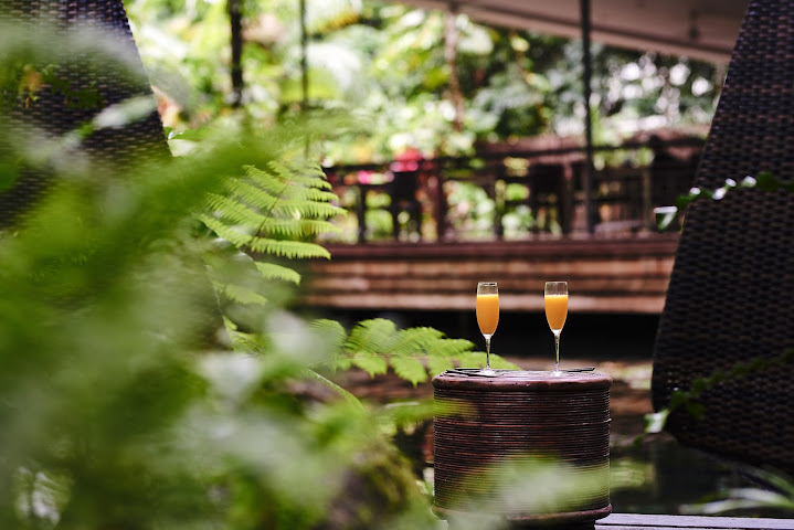 Daintree Ecolodge by null