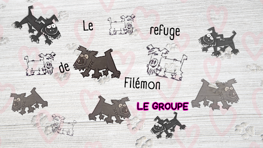 Photo de Elephant Haven European Elephant Sanctuary (EHEES) à Bussière-Galant (87230)