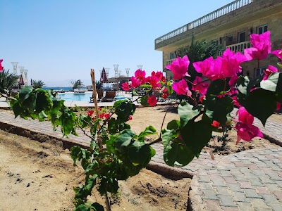 Photos of Ciao Hotel Nuweiba