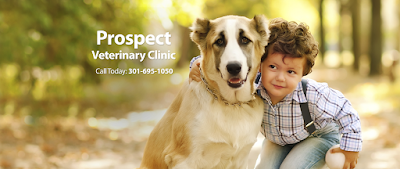 Prospect Veterinary Clinic