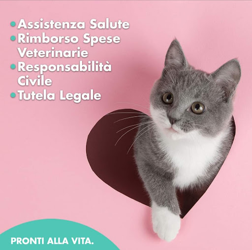 CATTOLICA ASSICURAZIONI - ADAMO GENNARO - Thumbnail