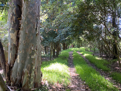 Snowy River Waterwatch Walk - Thumbnail