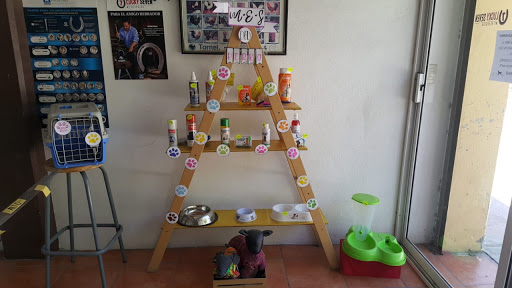 Farmacia Veterinaria San Mateo - Thumbnail