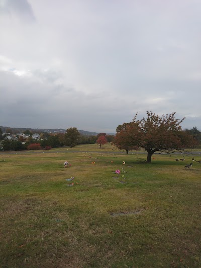 Laurel Grove Cemetery Co