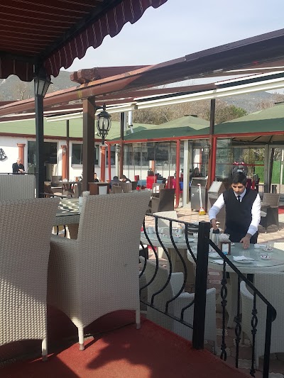 Photos of Marina Cafe Restaurant