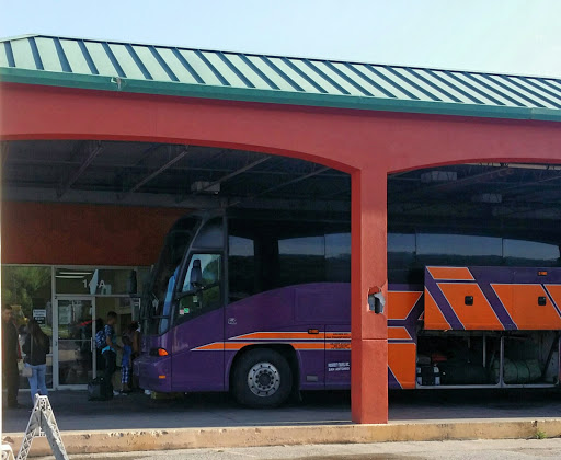 el conejo bus Gallery - United States