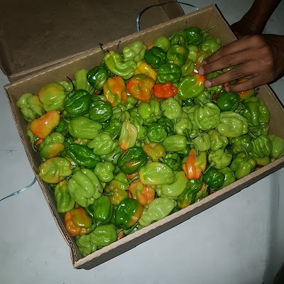 Photos of JOMONA STORE