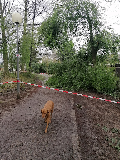Steinbachwiesen - Visual