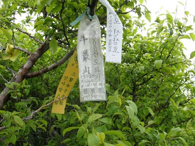 Photos of 금대봉