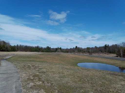 Fifer's Field - Visual