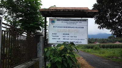 Photos of UD. Berlian Jaya
