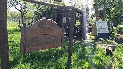 Photos of Arte de la Costa