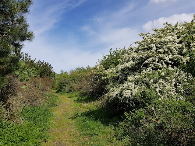 Sentier du littoral