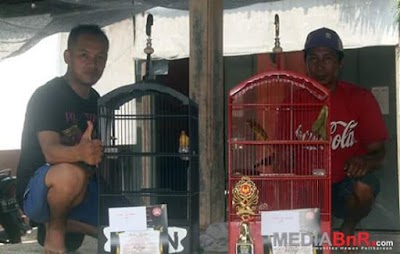 Photos of Suzuran Setan Canary (Singgih)