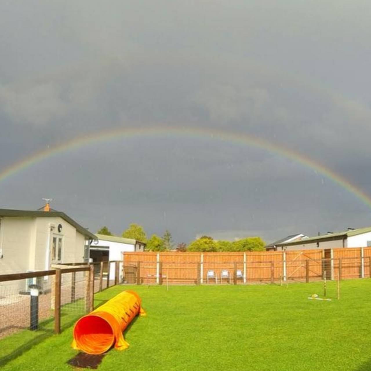 B J Boarding Kennels Cattery Pet Boarding Service