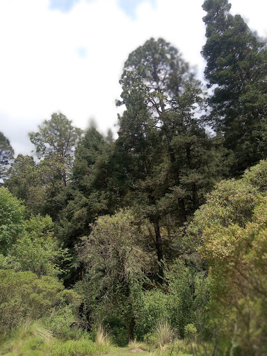 Peña de la gorra