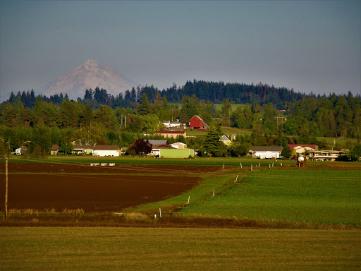 Timber Park - Visual