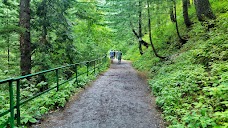 Pine Track nathia-gali