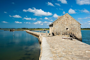 Photo n°30 de VELO & CYCLE ABBIS à Damgan (Magasin de réparation de vélos)