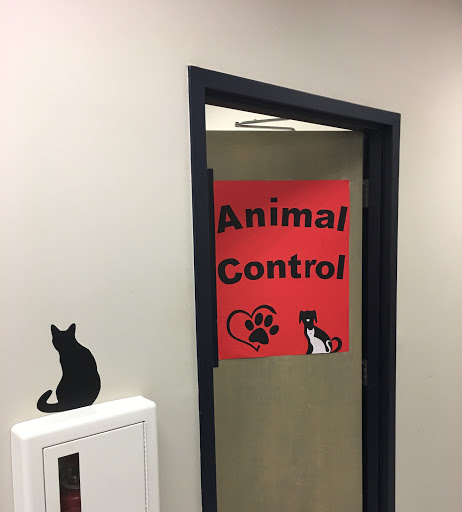 City of Madison Animal Control - Thumbnail