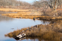 Wells Reserve at Laudholm, Wells, United States