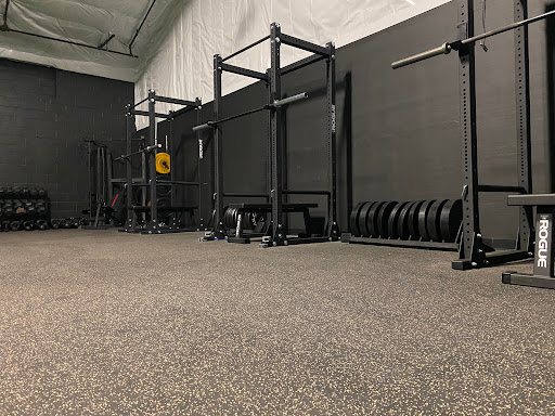 Impact Performance Training 2 - Visual