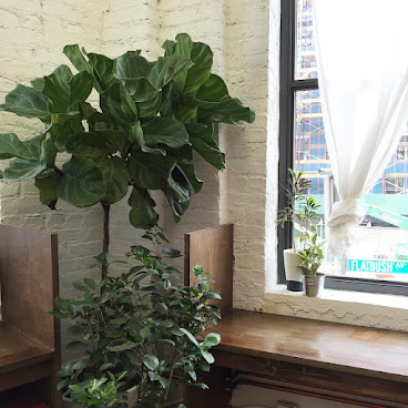 the COMPOUND COWORK by null