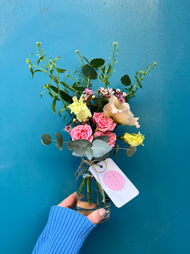Pixie Rose Edinburgh - Visual