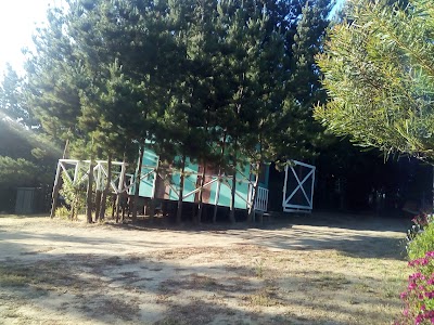 Photos of Campamento Pinares De Curaumilla