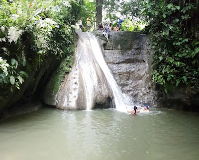 Photos of Cueva de los Aviones